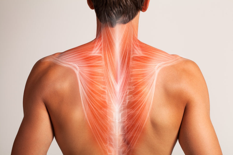 Tips For How To Relieve Upper Back Pain