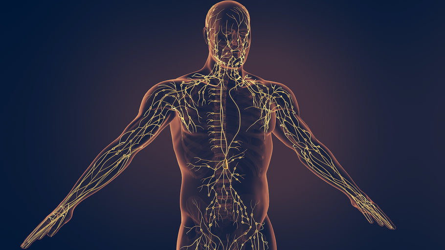 How to Drain Your Lymphatic System Naturally