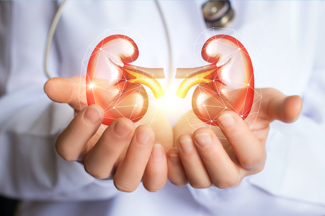 drawing to show how to keep kidneys healthy