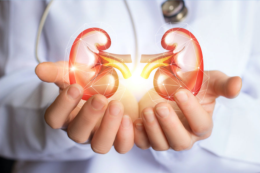 National Kidney Month Tips: How to Keep Kidneys Healthy