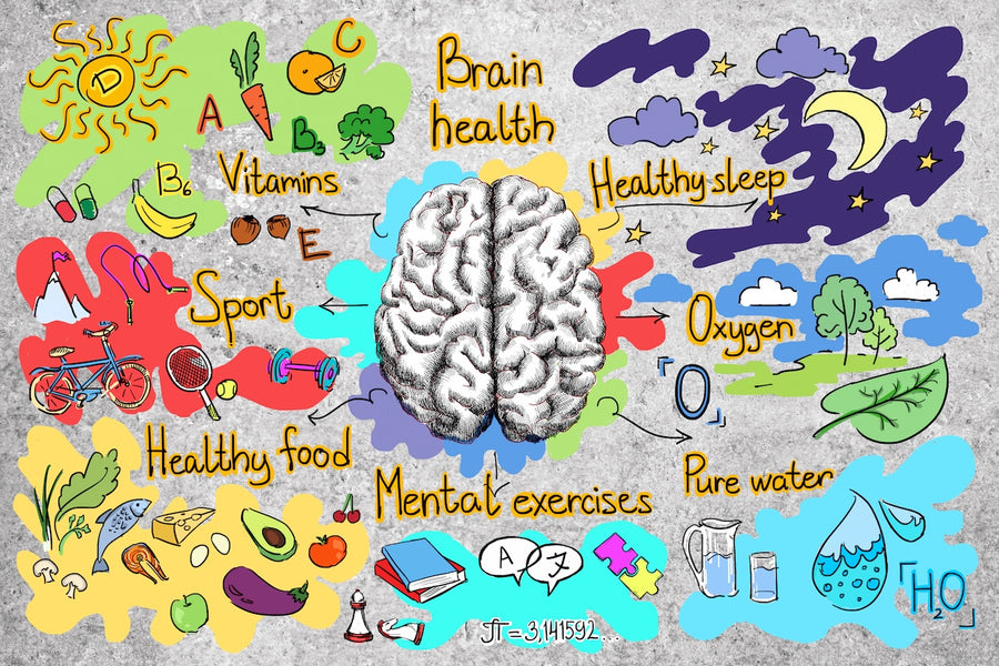 How to Keep Your Brain Healthy As You Age