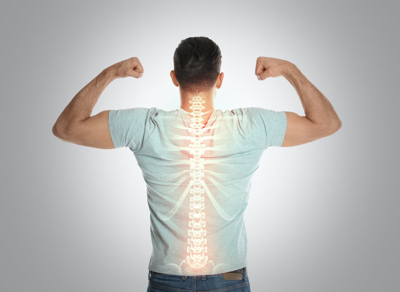 Best Practice Guide: How to Keep Your Back Healthy
