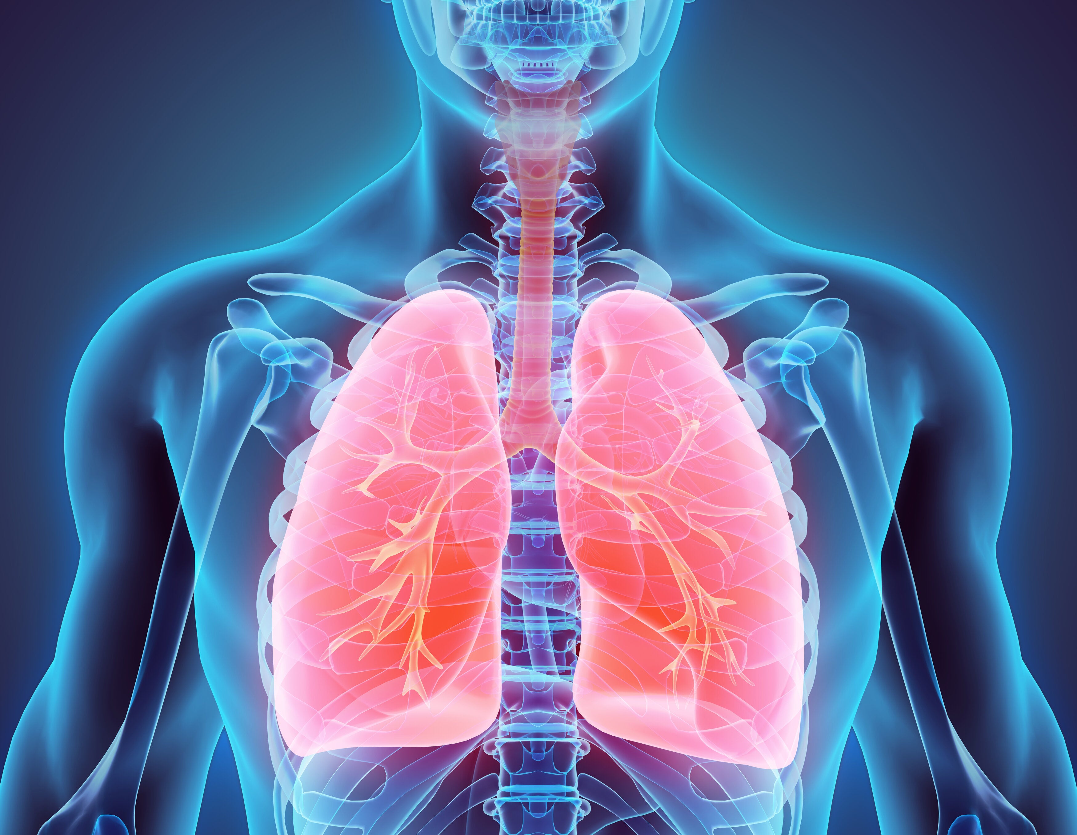 model of how to improve lung function naturally