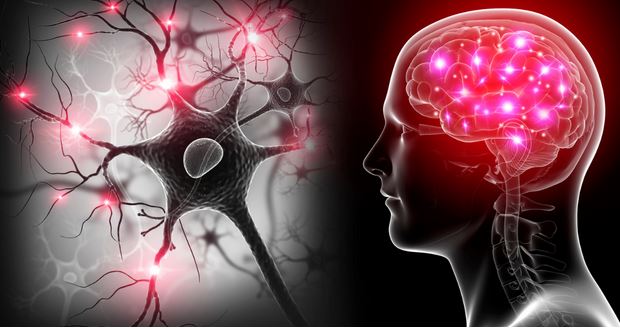 How to Prevent Cognitive Decline (Zero Gravity Chairs May Help!)