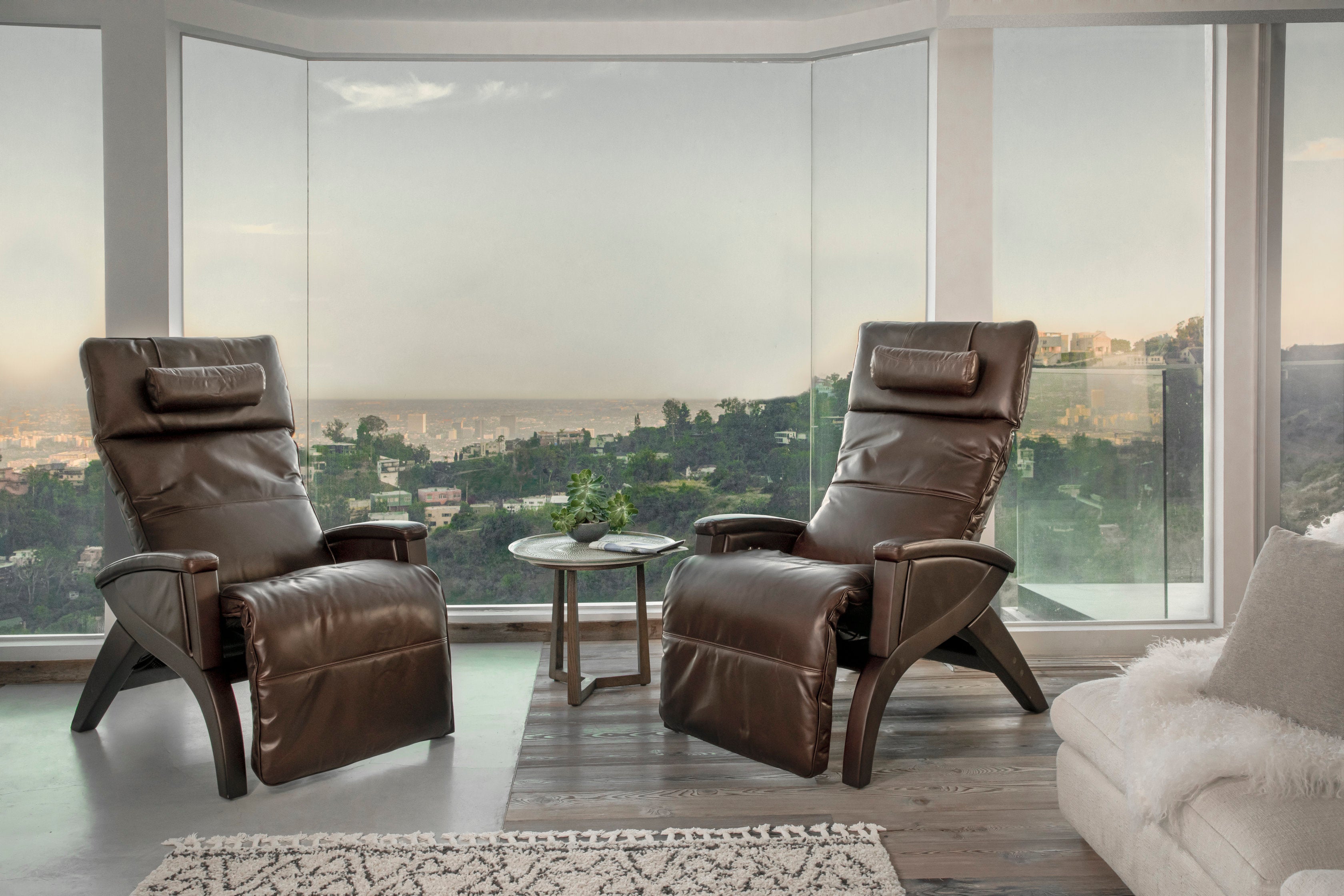 zero gravity chair or recliner in living room