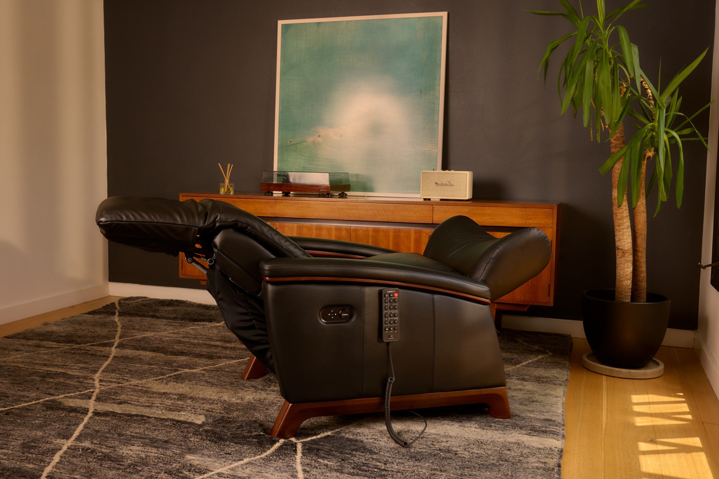 Leather Zero Gravity Chair Collection